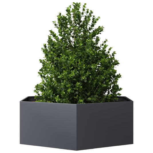 Vidaxl plantenbak zeshoek 138x120x45 cm staal antracietkleurig