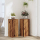 Vidaxl plantenstandaards 2 st 30x30x70 cm bewerkt hout oud houtkleurig