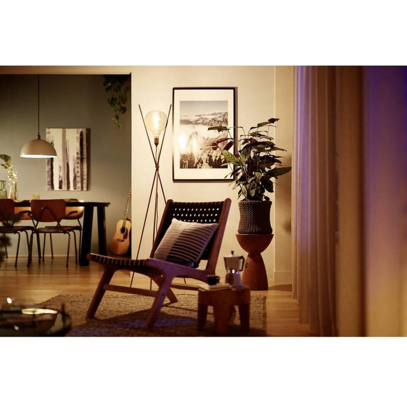 Afbeelding laden in galerijviewer, Philips vintage led dimbare globe g95 e27 60w amberkleurig glas
