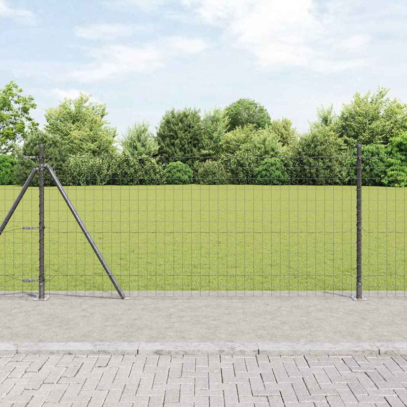 Afbeelding laden in galerijviewer, Vidaxl euro-hek met betonnen voetstuk 10 x 0,8 m pvc-coated staal mesh
