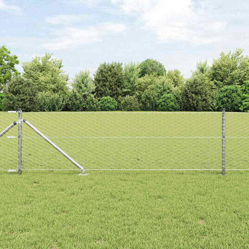 Afbeelding laden in galerijviewer, Vidaxl afrasteringspaal zilver 10 x 0,6 m (36 mm gaas) staal
