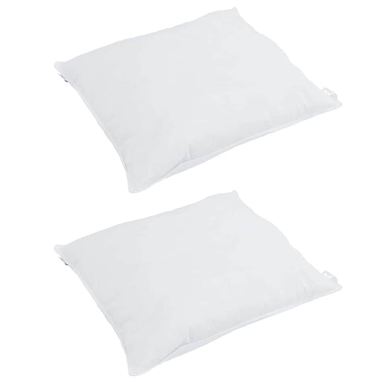 Vidaxl hoofdkussen met kussen 2 pcs wit 65 x 65 cm veren