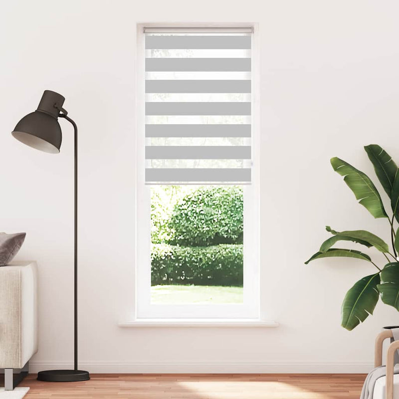 Afbeelding laden in galerijviewer, Vidaxl zebra rolgordijn 90x200 cm stofbreedte 85,9 cm lichtgrijs
