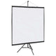 Vidaxl projectiescherm met statief 72 inch 1:1
