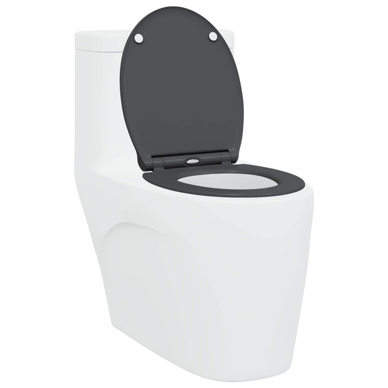 Afbeelding laden in galerijviewer, Vidaxl toiletzitting antraciet 47 x 37,5 x 3,8 cm duroplast
