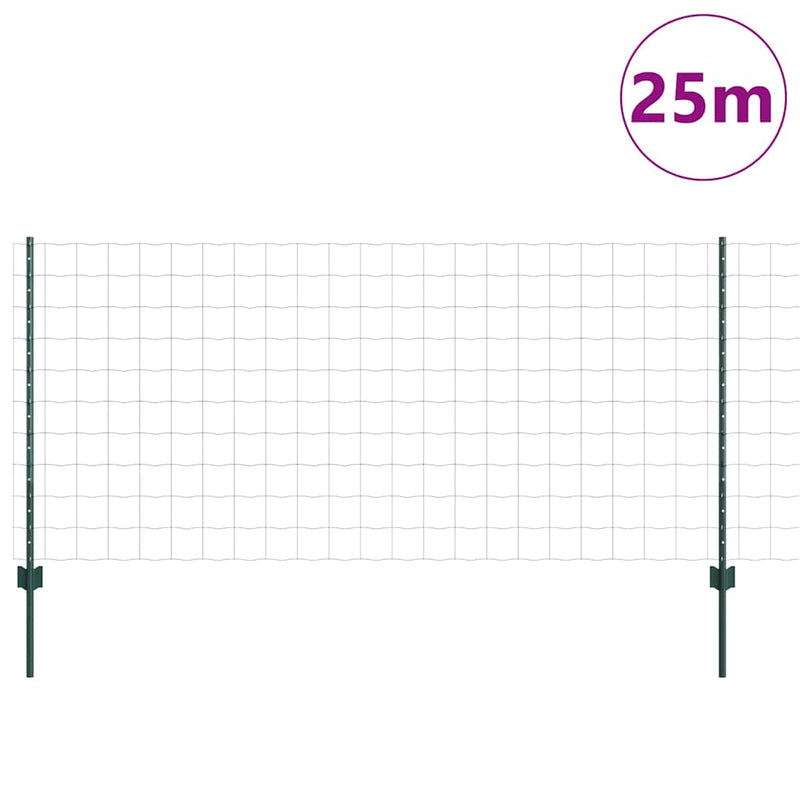 Afbeelding laden in galerijviewer, Vidaxl euro-hek met palen 25 x 1 m pvc-coated staal groen mesh

