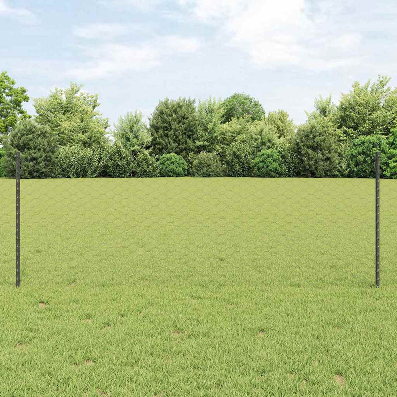 Afbeelding laden in galerijviewer, Vidaxl hek met paal grijs 0,8 x 10 m staal en pvc
