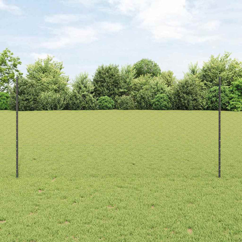 Afbeelding laden in galerijviewer, Vidaxl zeshoekig gaasgek met palen 25 x 1,2 m pvc-coated staal grijs
