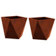 Vidaxl plantenbak 2 pcs roestig 30 x 30 x 30 cm cortenstaal