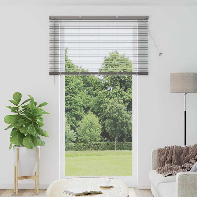 Afbeelding laden in galerijviewer, Vidaxl venetiaanse jaloezieën zilver 220 x 125 cm aluminium
