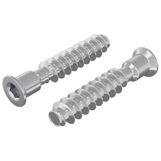 Vidaxl hoofdkapbout 2 pcs zilver m7 x 40 mm staal
