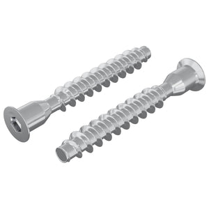 Vidaxl confirmatschroeven 2 st zilver ø7 x 50 mm metaal