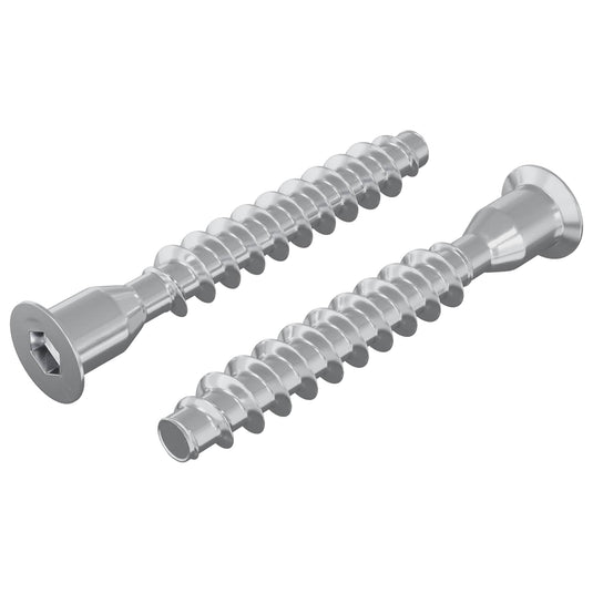 Vidaxl bevestigingsschroeven 2 pcs zilver ø7 x 50 mm metaal