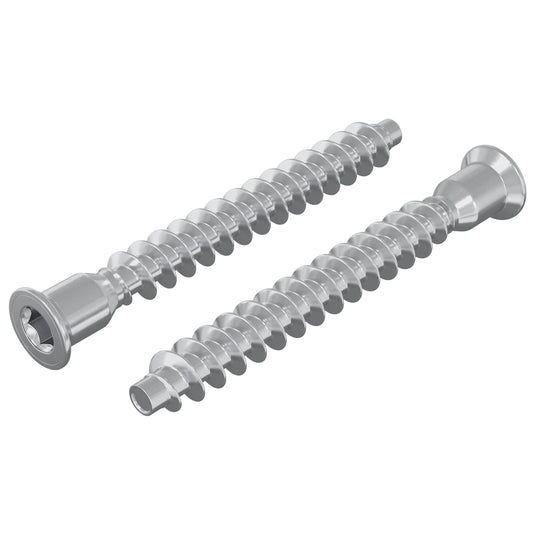 Vidaxl bevestigingsschroeven 2 pcs zilver ø7 x 58 mm metaal