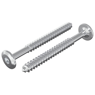 Vidaxl houten schroeven 2 pcs zilver m6 x 70 mm staal