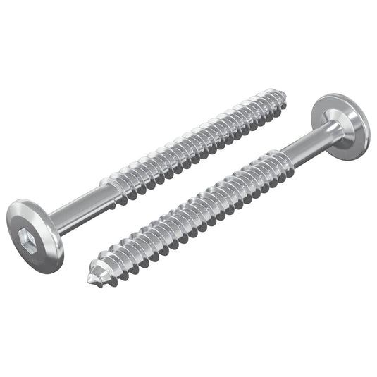 Vidaxl houten schroeven 2 pcs zilver m6 x 70 mm staal