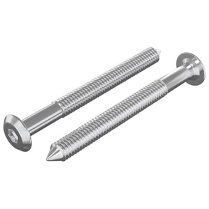 Vidaxl meubelschroeven 2 st zilver m6 x 60 mm staal