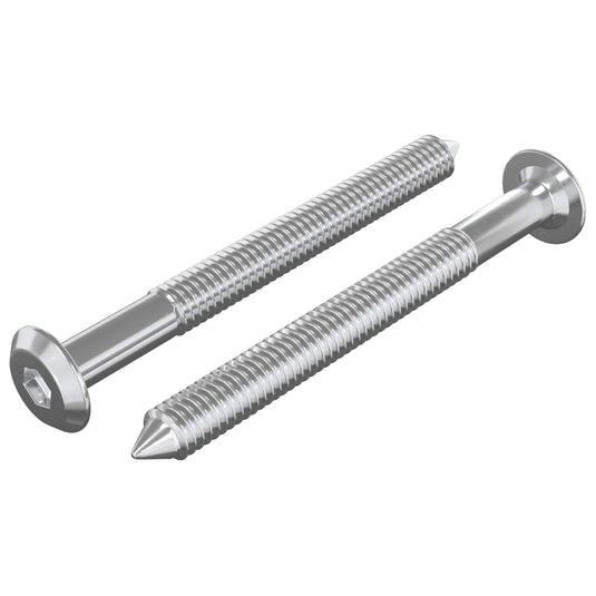 Vidaxl meubelschroeven 2 st zilver m6 x 60 mm staal