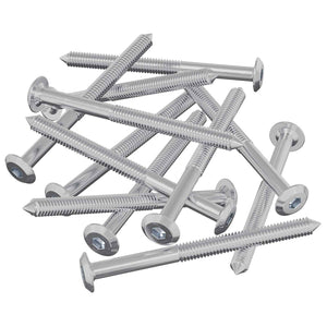 Vidaxl meubelschroeven 12 st zilver m6 x 85 mm staal
