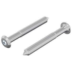 Vidaxl bout 2 st zilver m6 x 50 mm staal