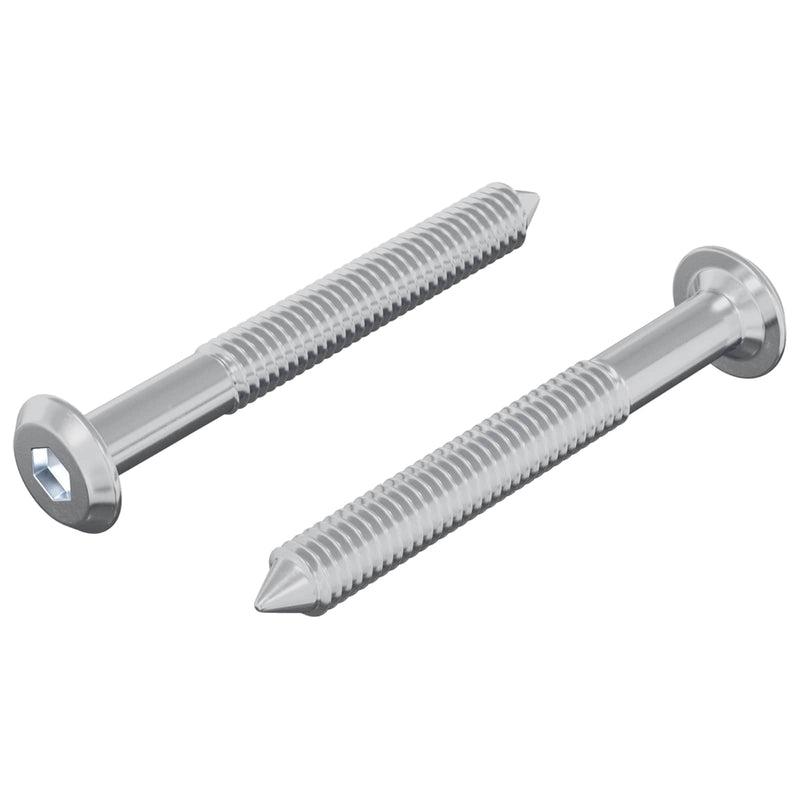 Afbeelding laden in galerijviewer, Vidaxl bout 2 pcs zilver m6 x 50 mm staal
