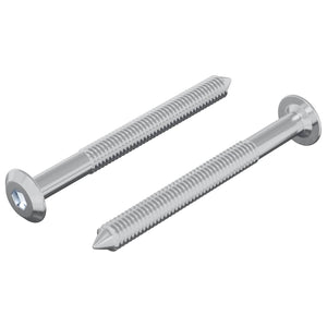 Vidaxl bout 2 st zilver m6 x 60 mm staal