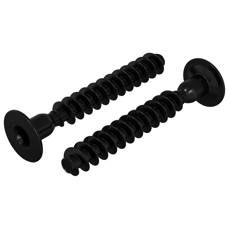 Afbeelding laden in galerijviewer, Vidaxl socket cap head schroef 2 pcs zwart m5 x 40 mm ijzer
