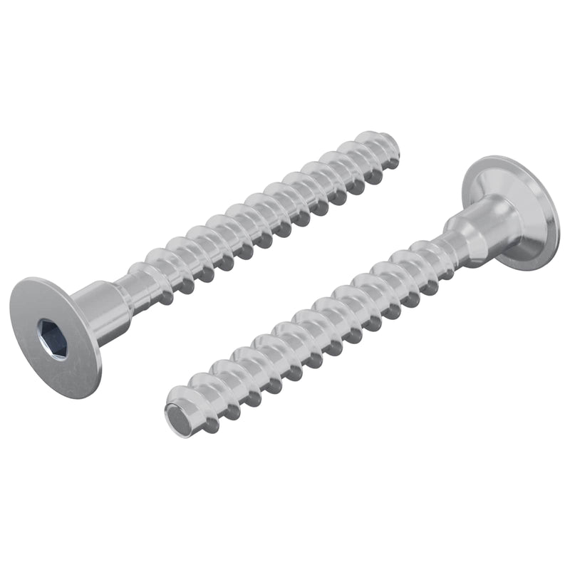 Afbeelding laden in galerijviewer, Vidaxl bout 2 pcs verzinkt 5 x 40 mm ijzer
