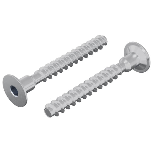 Vidaxl bout 2 pcs verzinkt 5 x 40 mm ijzer