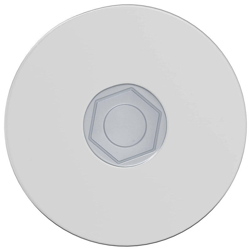 Afbeelding laden in galerijviewer, Vidaxl bout 2 pcs verzinkt 5 x 40 mm ijzer

