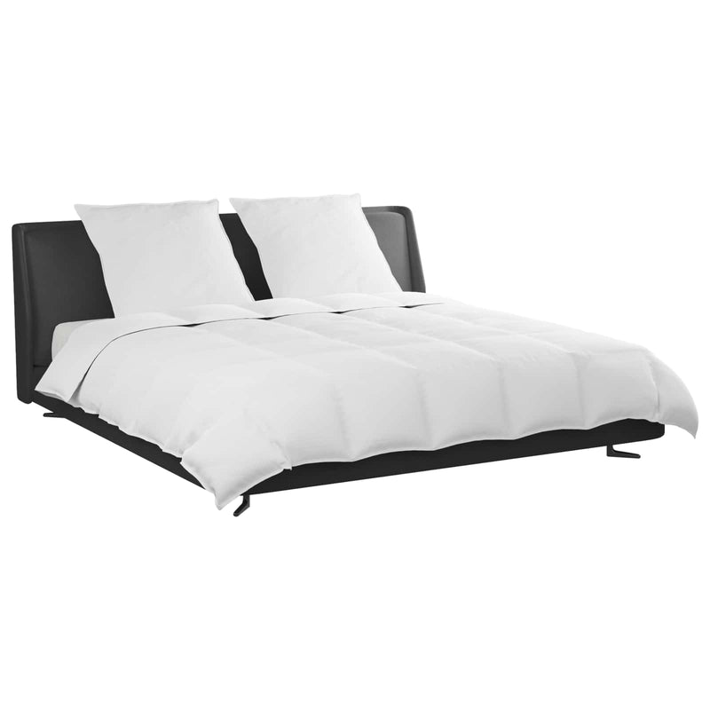 Afbeelding laden in galerijviewer, Vidaxl dekbed set met kussen 3 pcs wit donsveertjes
