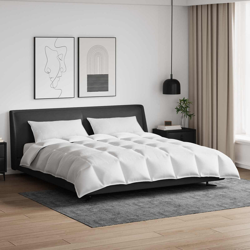 Afbeelding laden in galerijviewer, Vidaxl dekbed set met kussen 3 pcs wit donsveertjes

