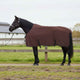 Vidaxl paardendeken volledig donkerbruin polyester