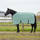 Vidaxl paardendeken speciale groen polyester