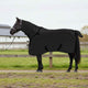 Vidaxl paardendeken zwart polyester