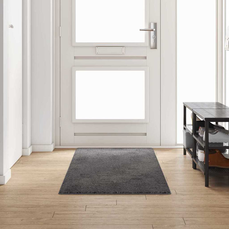 Afbeelding laden in galerijviewer, Vidaxl tapijt loper grijs 80 x 250 cm 100% polypropylene tuft

