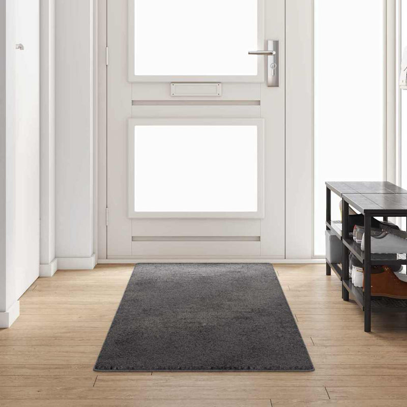 Afbeelding laden in galerijviewer, Vidaxl tapijt loper grijs 80 x 300 cm 100% polypropylene tuft
