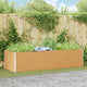 Vidaxl verhoogde plantenbak 290 x 100 x 68 cm gegalvaniseerd staal