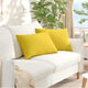 Vidaxl sofa kussens 2 pcs lichtgeel 60 x 40 cm stof