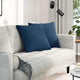 Vidaxl sofa kussens 2 pcs blauw 50 x 50 cm stof