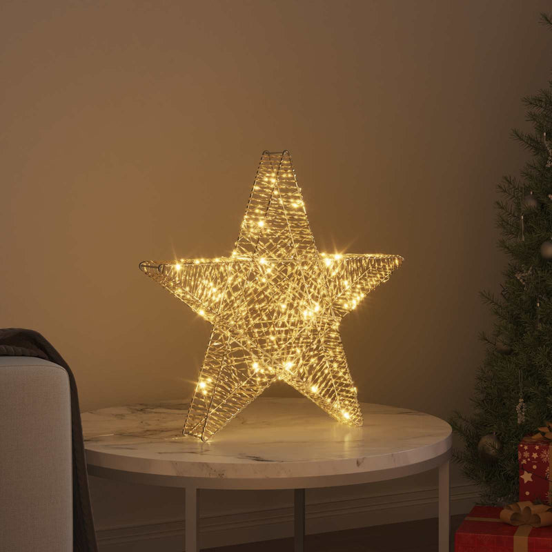 Afbeelding laden in galerijviewer, Vidaxl 3d-kerstster warmwit 55 x 52,5 x 10 cm
