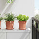 Vidaxl ronde bloempot 6 pcs baksteenrood ø 17 x 14 cm kunststof