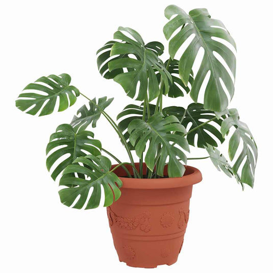 Vidaxl ronde bloempot 6 pcs baksteenrood ø 26 x 21.5 cm kunststof