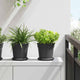 Vidaxl ronde bloemenschalen 6 pcs zwart ø 15,5 x 2 cm kunststof