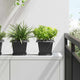 Vidaxl vierkante bloempot 6 pcs zwart 20 x 20 x 16 cm kunststof
