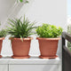 Vidaxl plantenpotten 6 pcs baksteenrood ø 26 x 21.5 cm kunststof