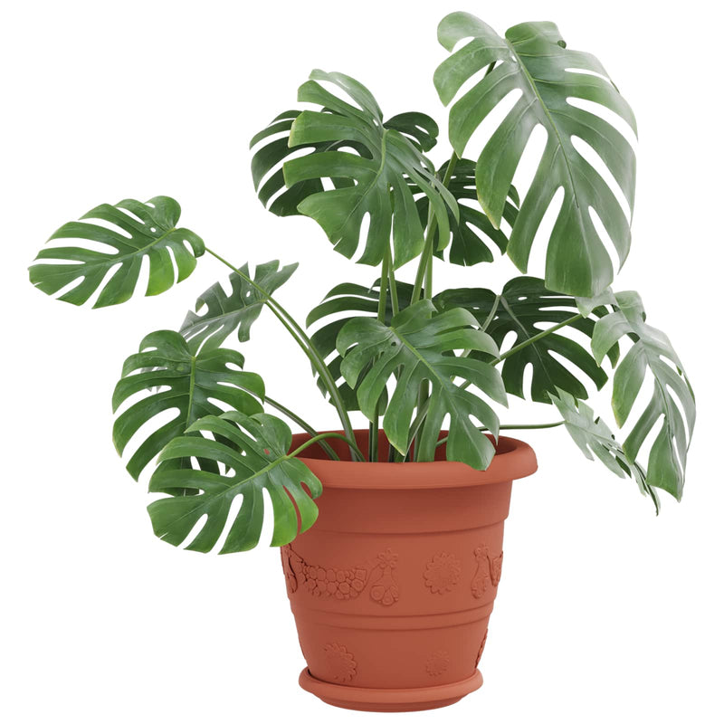Afbeelding laden in galerijviewer, Vidaxl plantenpotten 6 pcs baksteenrood ø 26 x 21.5 cm kunststof
