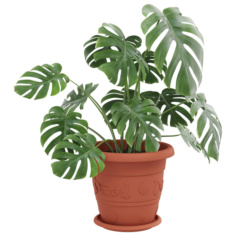 Afbeelding laden in galerijviewer, Vidaxl plantenpotten 6 pcs baksteenrood ø 26 x 21.5 cm kunststof
