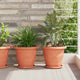 Vidaxl plantenpotten 24 pcs baksteenrood ø 26 x 21.5 cm kunststof