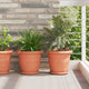 Vidaxl plantenpotten 24 pcs baksteenrood ø 26 x 21.5 cm kunststof
